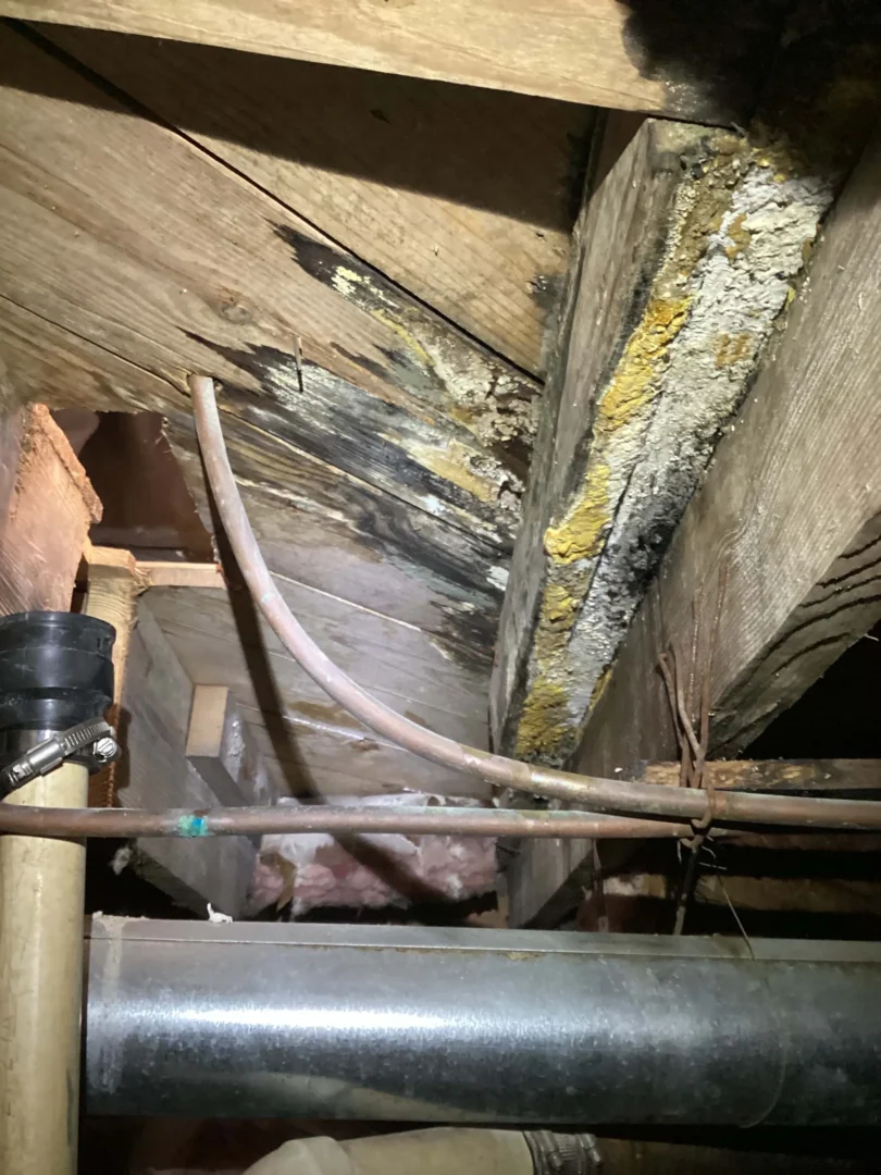 moisture damage subfloor 