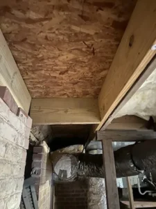 termite damage repair