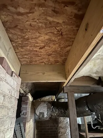 termite damage repair 